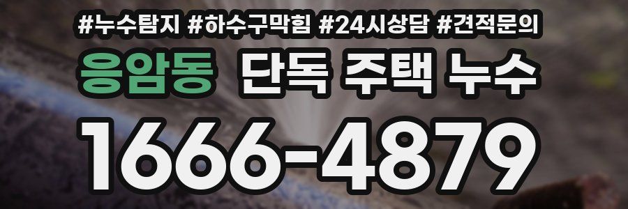 응암동 단독 주택 누수
