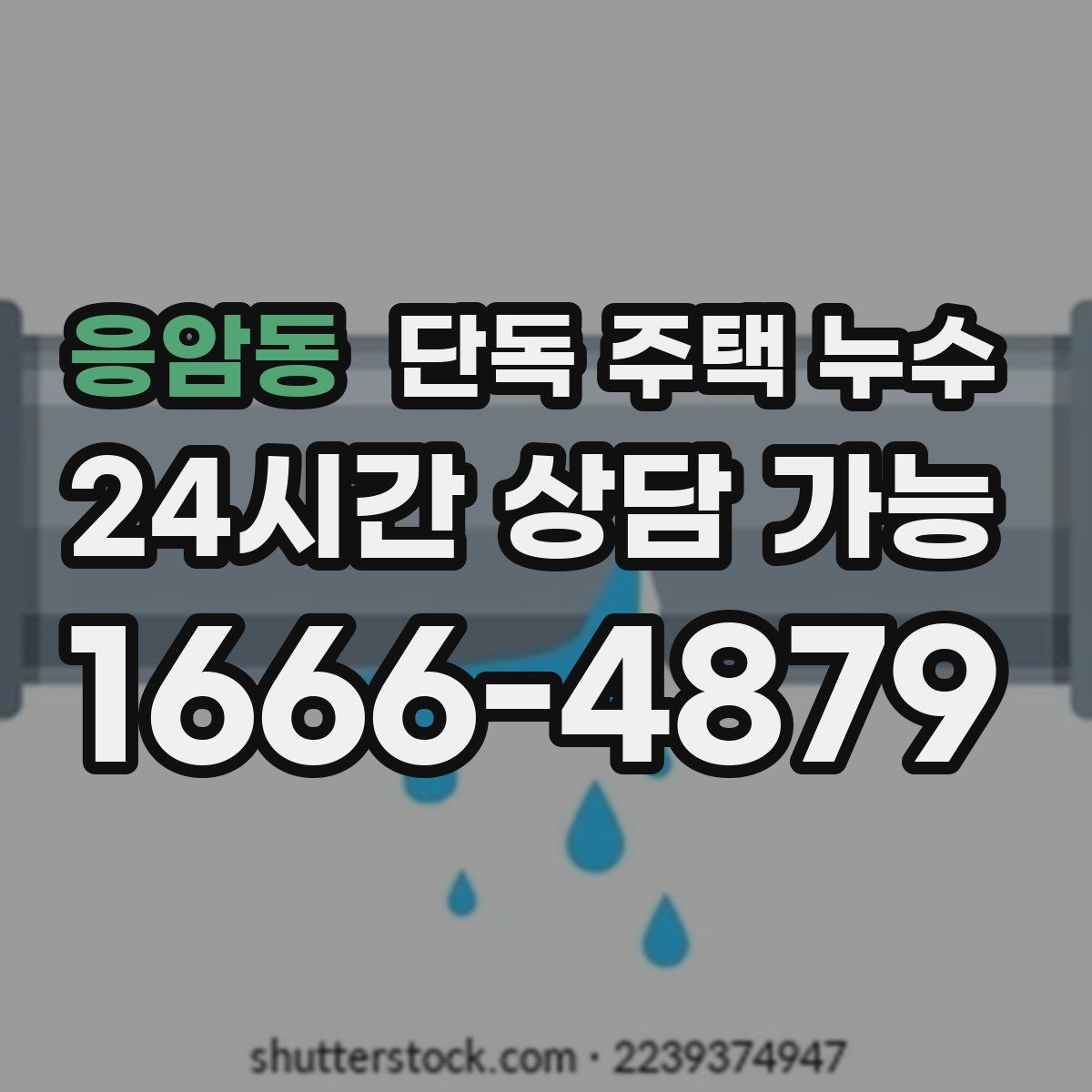 응암동 단독 주택 누수
