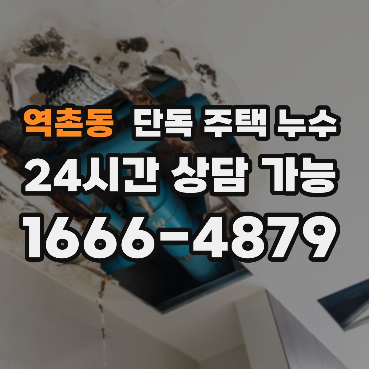 역촌동 단독 주택 누수