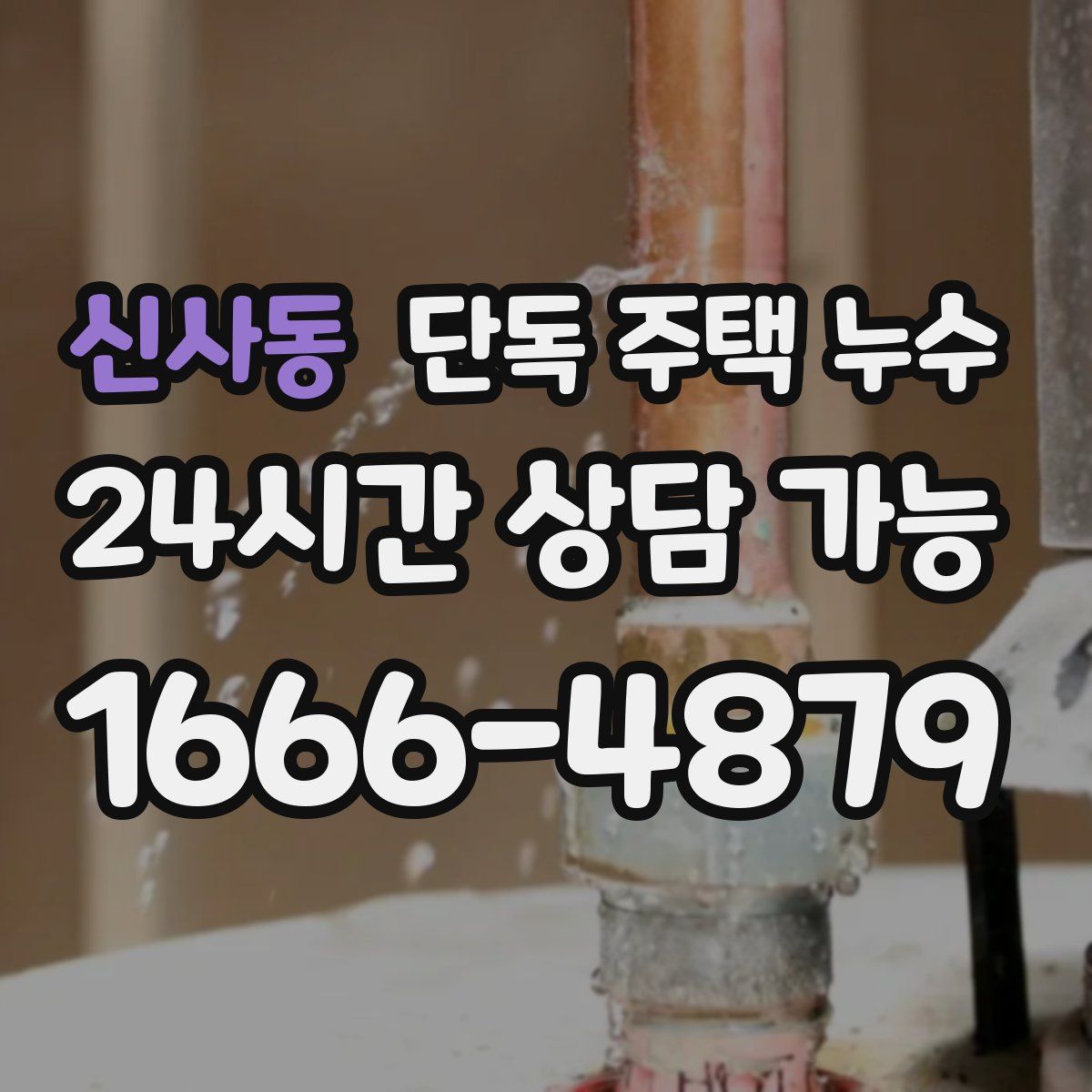 신사동 단독 주택 누수