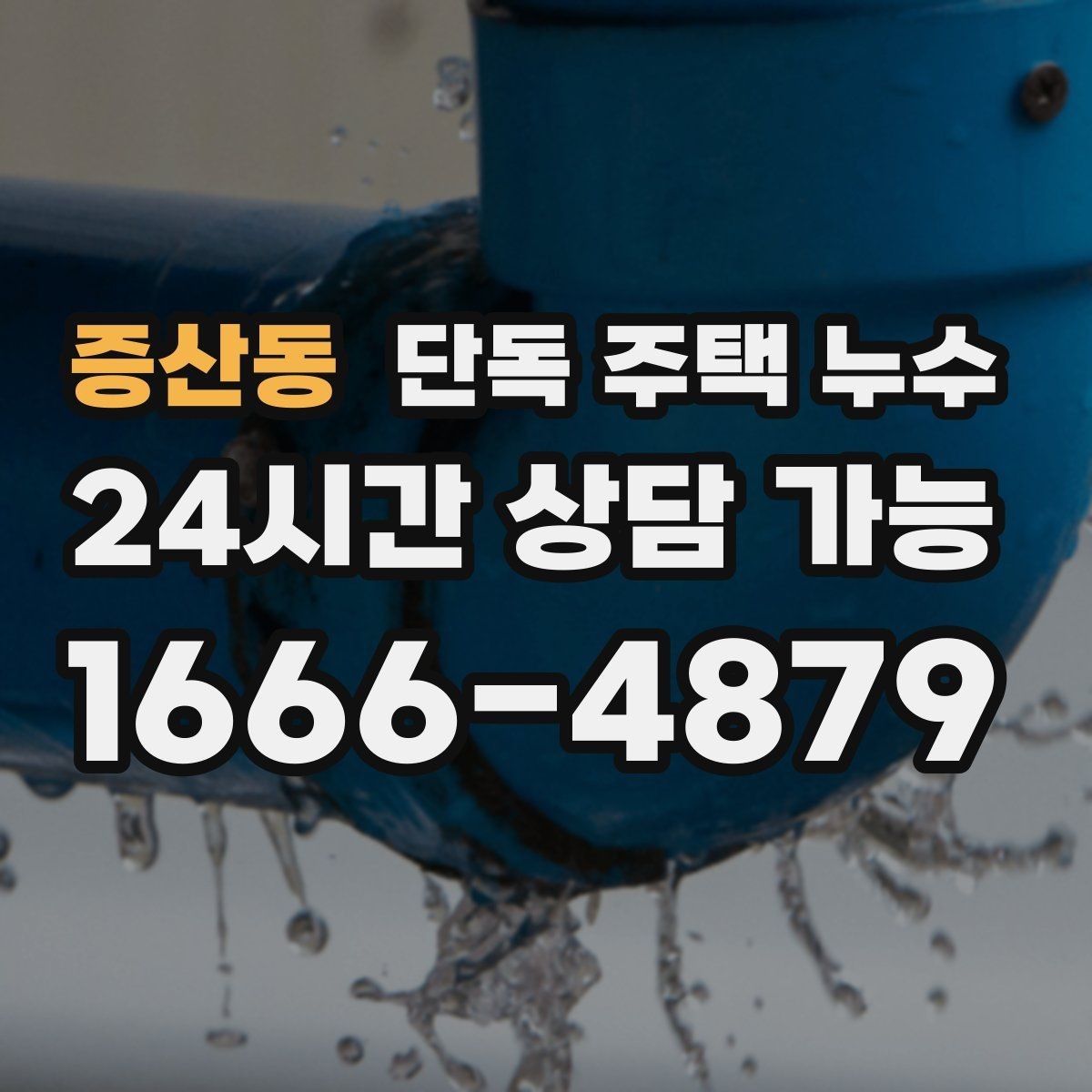 증산동 단독 주택 누수 곰팡이 냄새가 진해지면 원인부터 점검