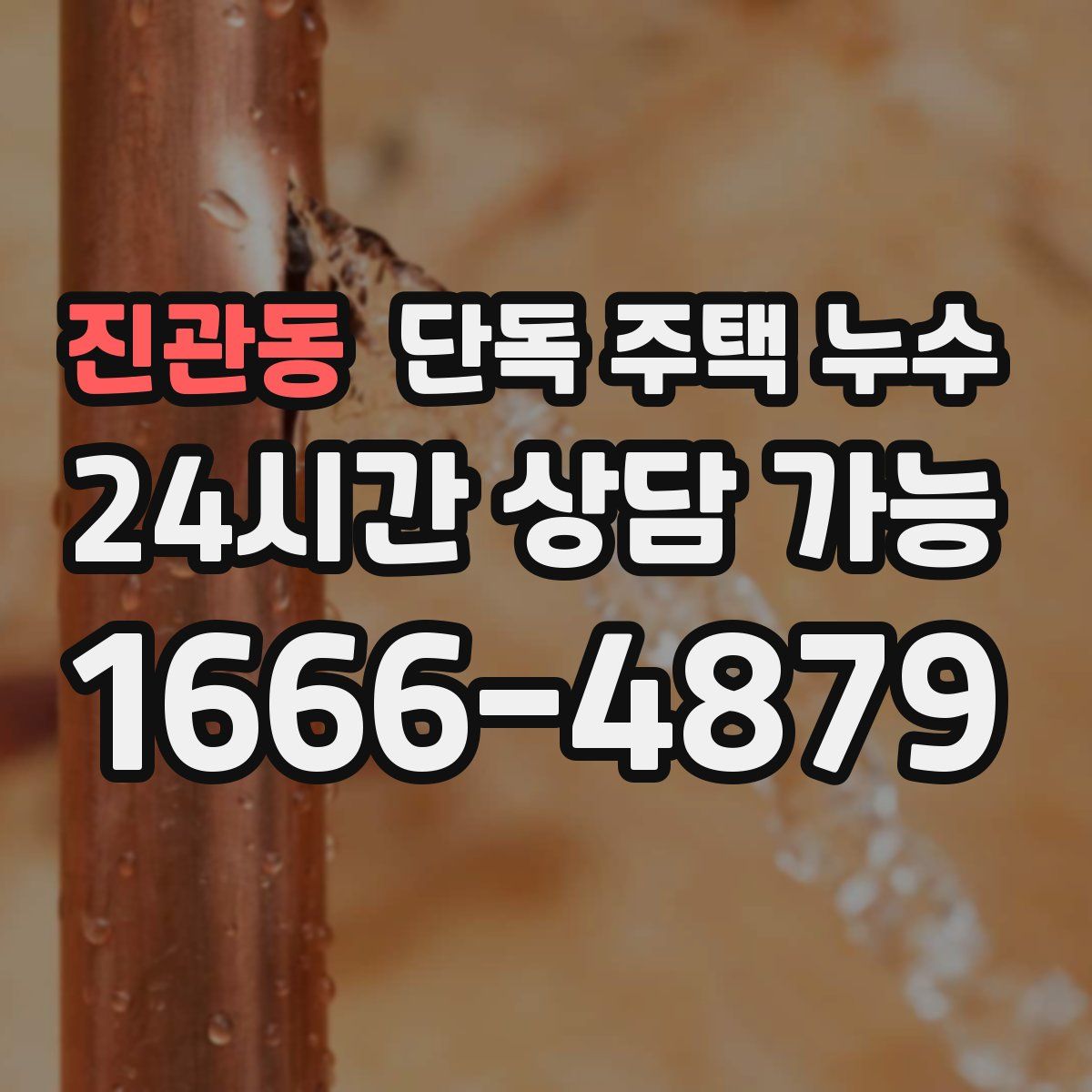 진관동 단독 주택 누수