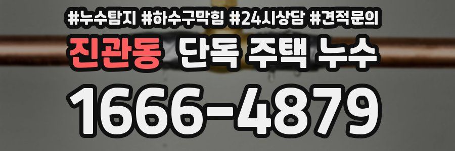 진관동 단독 주택 누수
