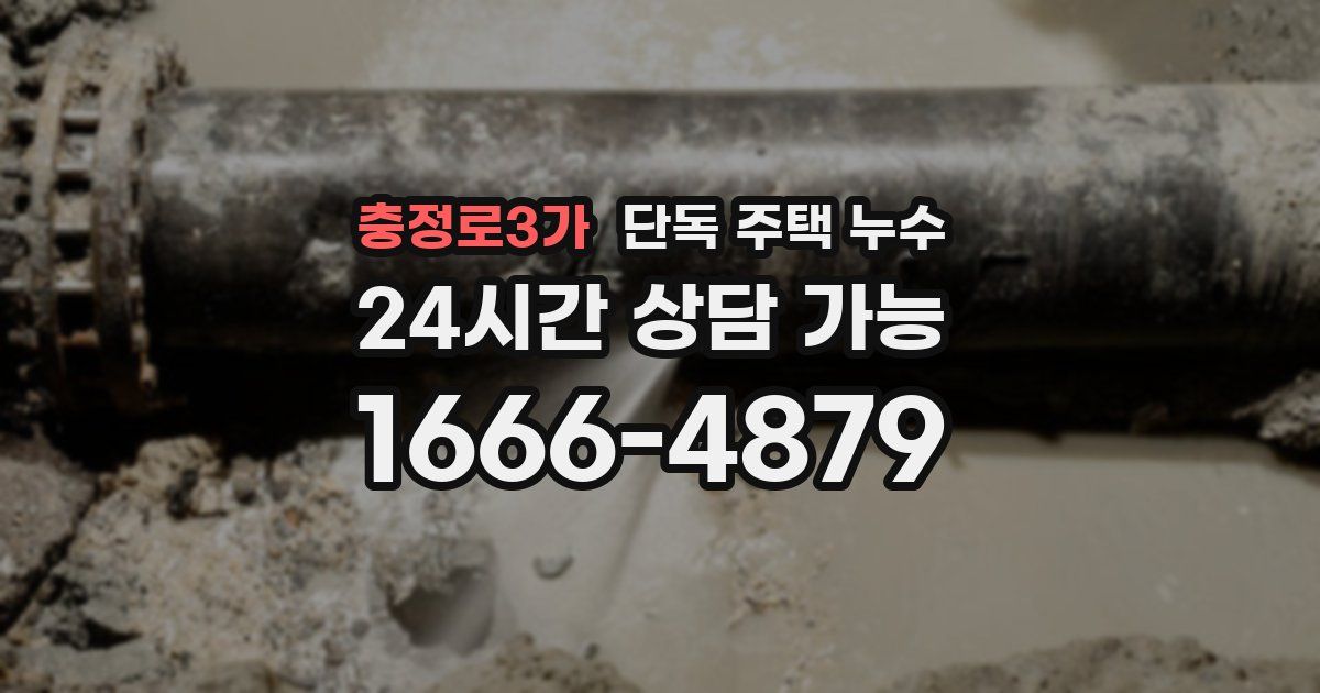 충정로3가 단독 주택 누수