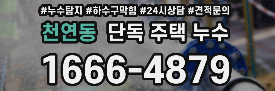 천연동 단독 주택 누수