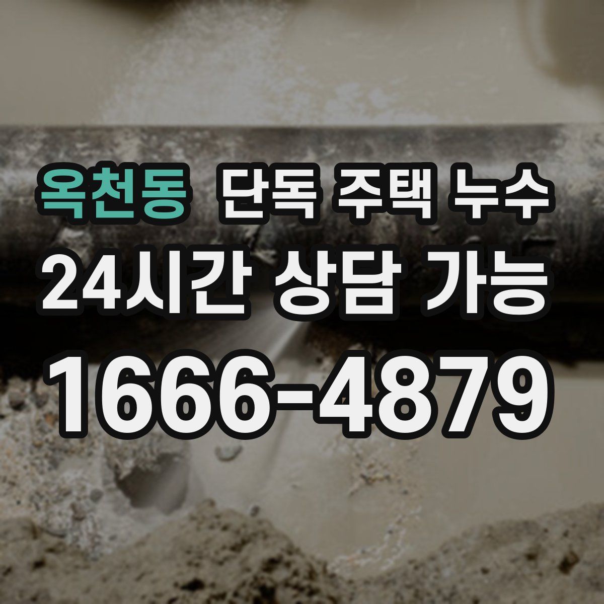 옥천동 단독 주택 누수