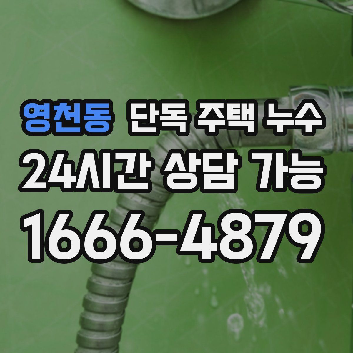 영천동 단독 주택 누수