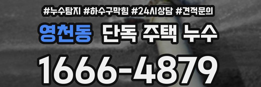 영천동 단독 주택 누수