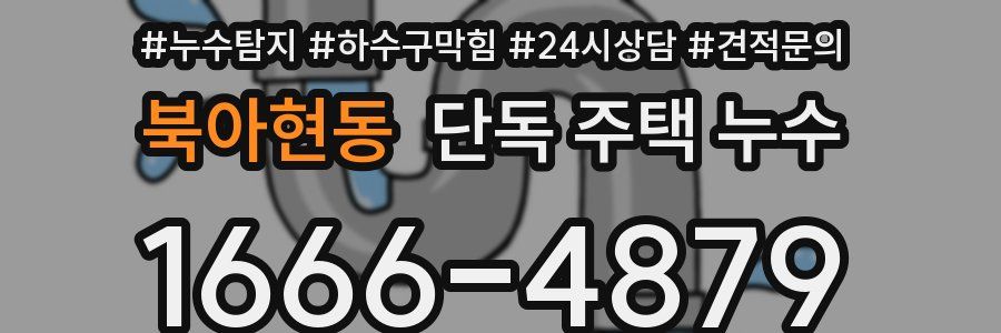 북아현동 단독 주택 누수