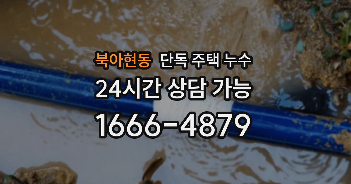 북아현동 단독 주택 누수