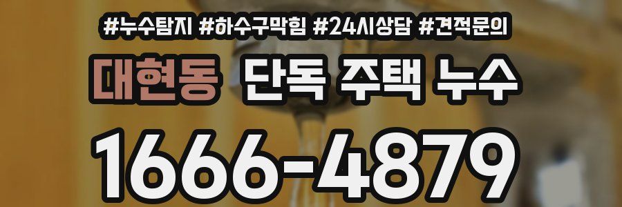 대현동 단독 주택 누수