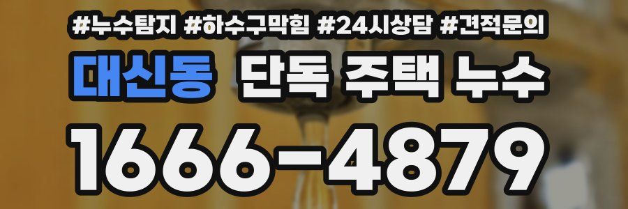 대신동 단독 주택 누수