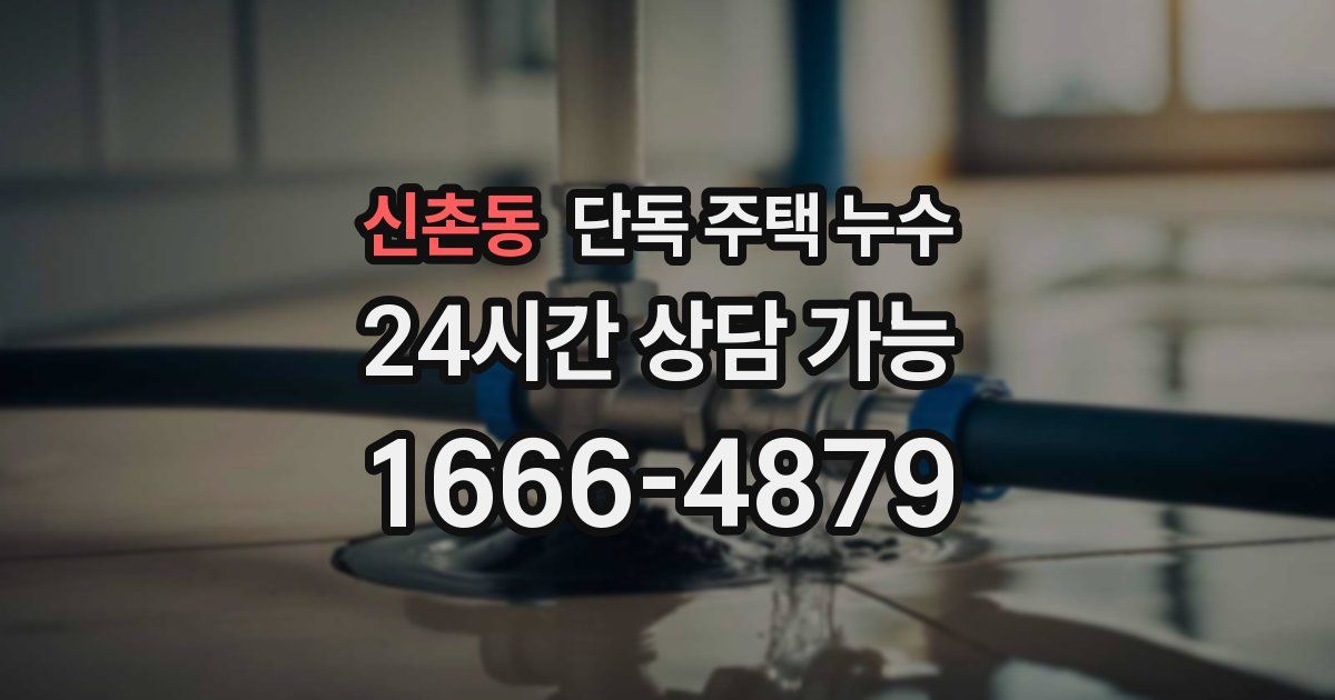 신촌동 단독 주택 누수