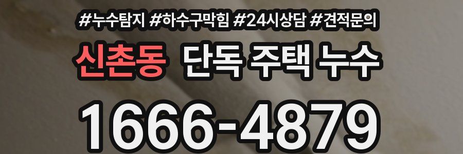 신촌동 단독 주택 누수