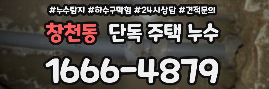 창천동 단독 주택 누수