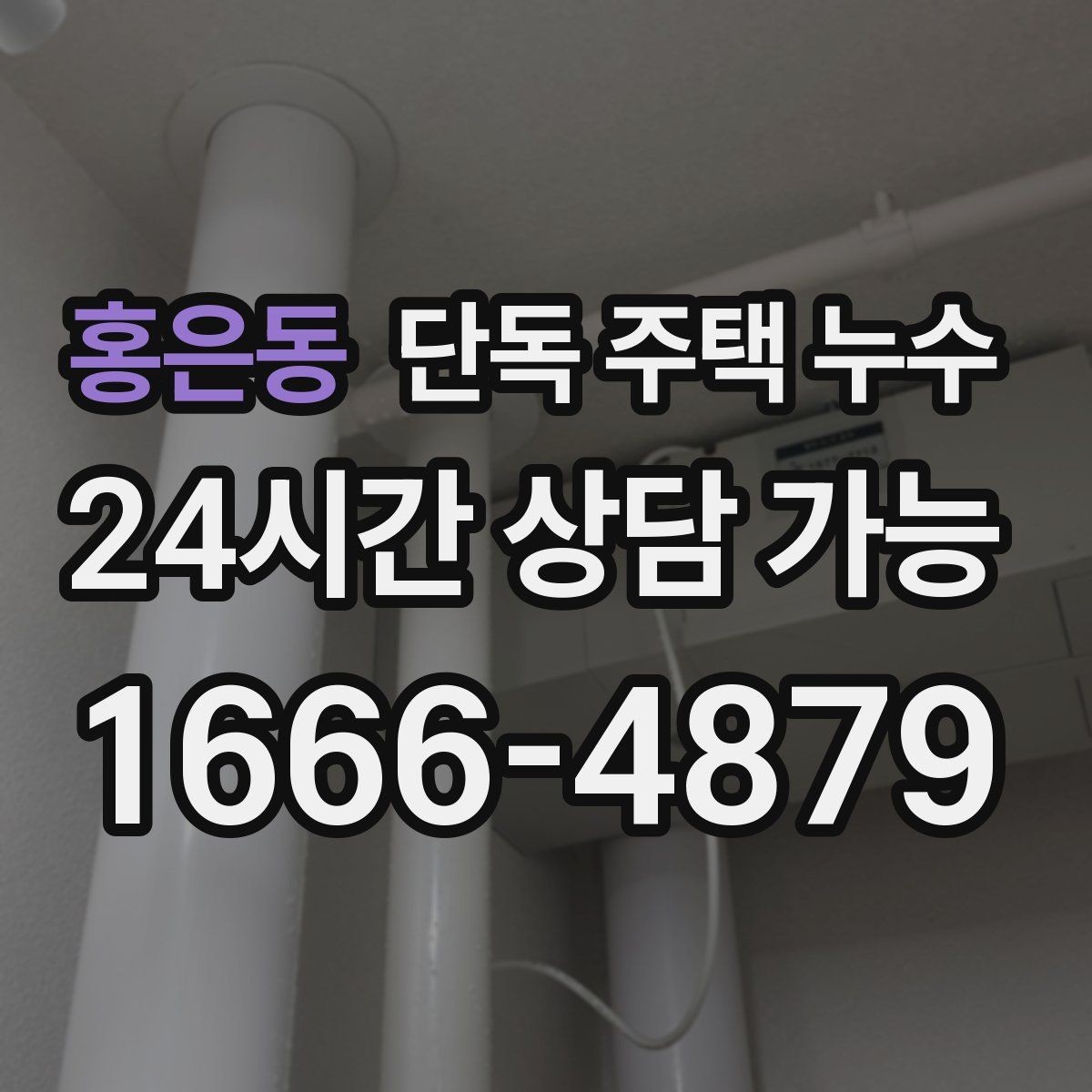 홍은동 단독 주택 누수 현관 바닥 타일이 들뜨면 원인 점검