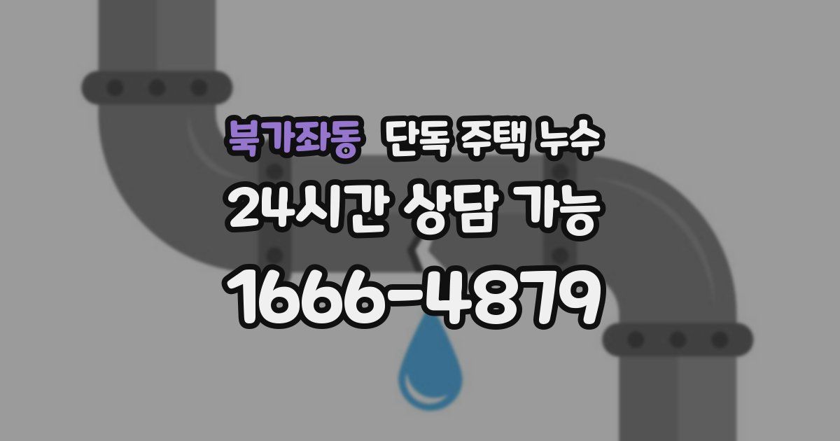 북가좌동 단독 주택 누수