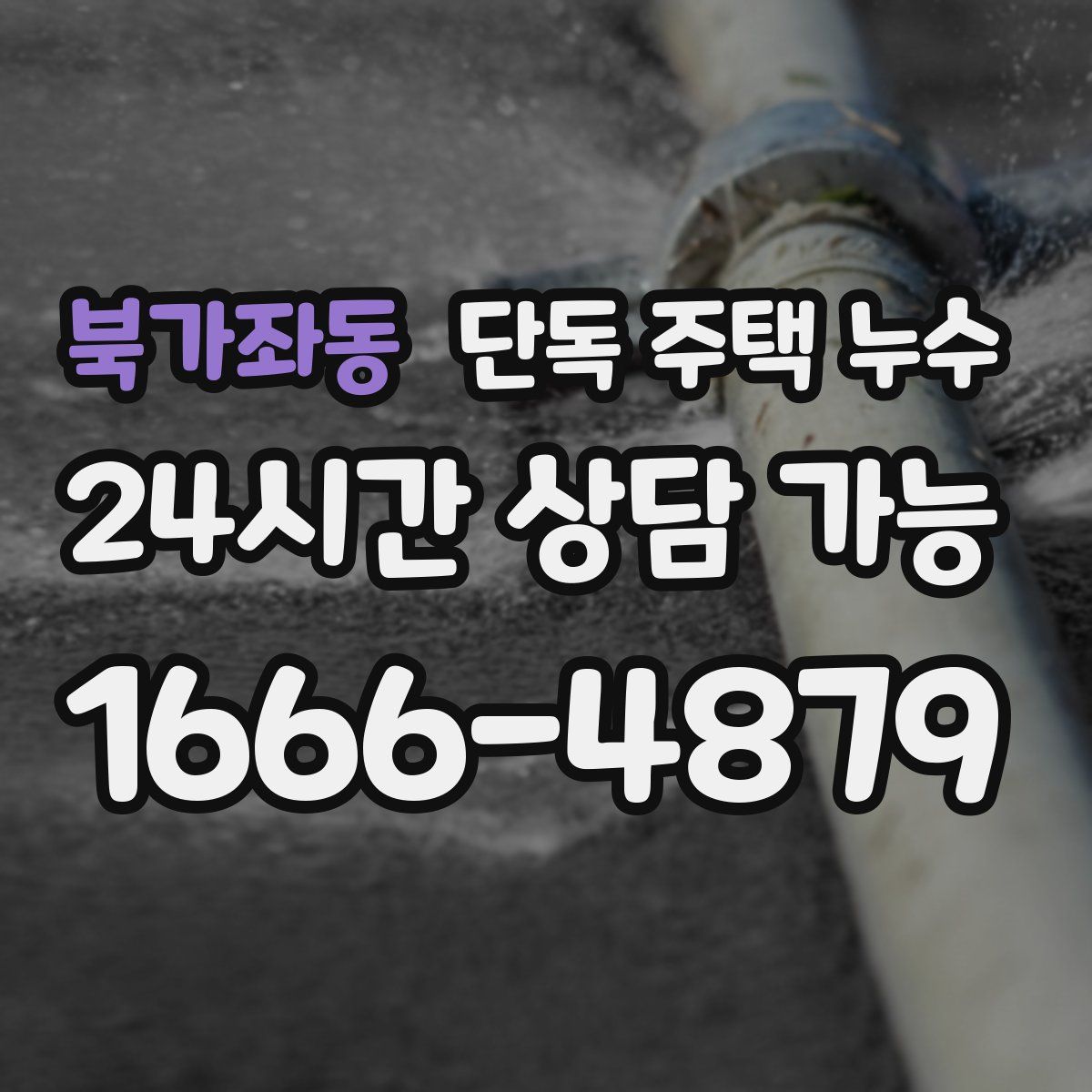 북가좌동 단독 주택 누수