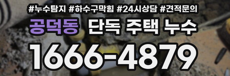 공덕동 단독 주택 누수