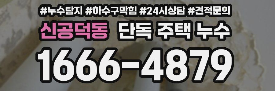 신공덕동 단독 주택 누수