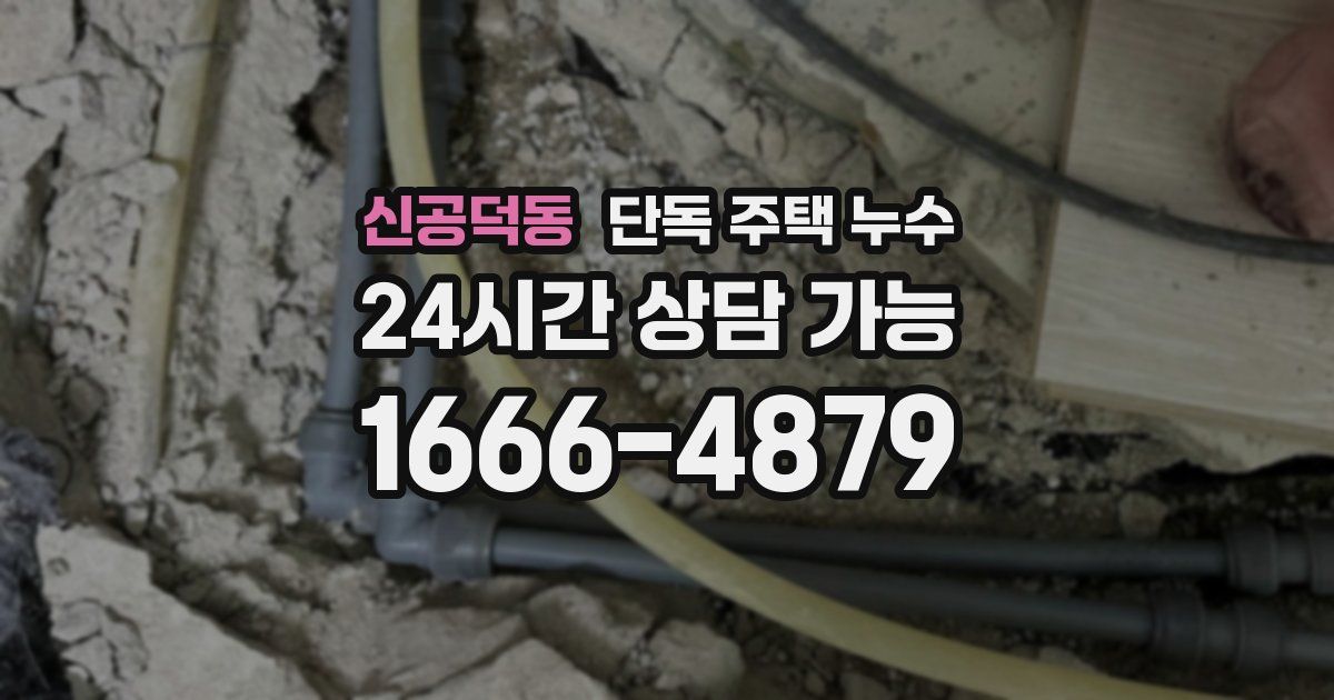 신공덕동 단독 주택 누수