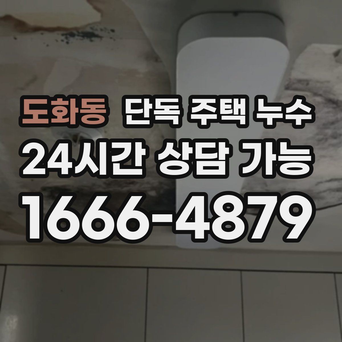 도화동 단독 주택 누수 방충망 레일 주변으로 물이 스며드는 경우