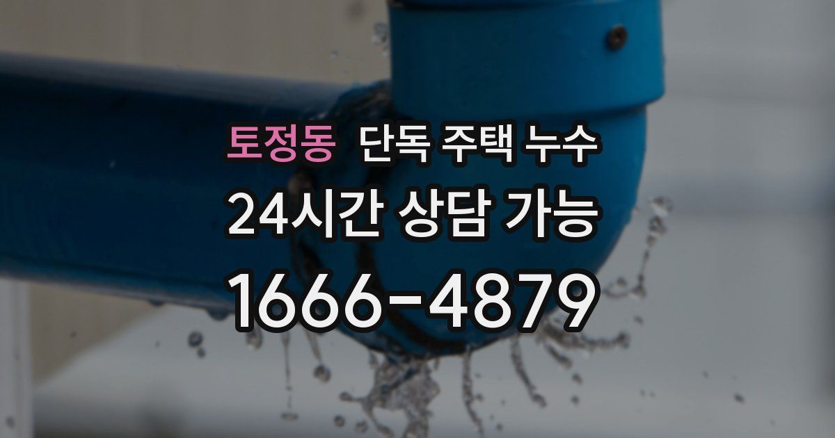 토정동 단독 주택 누수