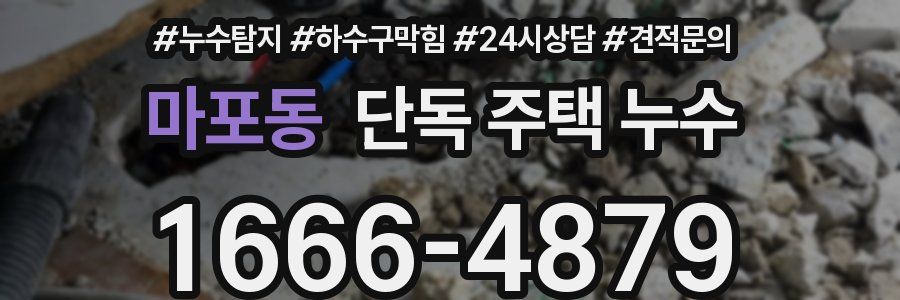 마포동 단독 주택 누수