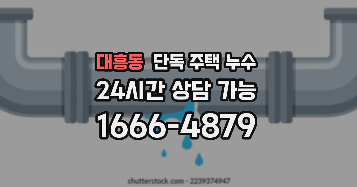 대흥동 단독 주택 누수