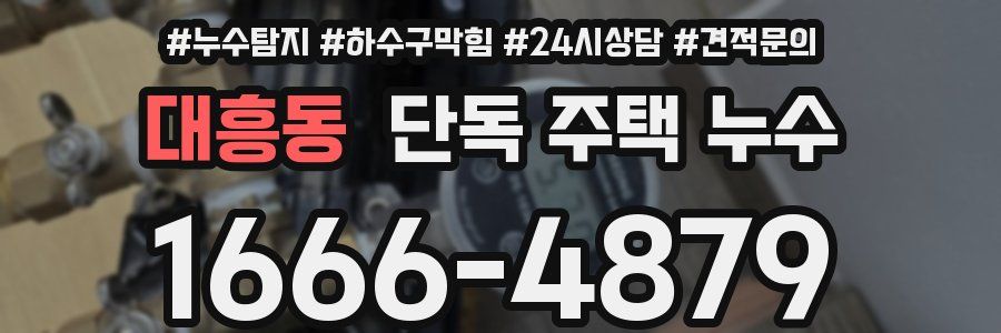 대흥동 단독 주택 누수