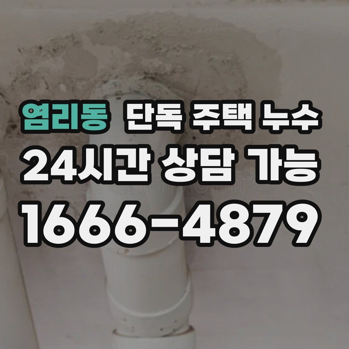 염리동 단독 주택 누수 가구 뒤 벽이 젖는다면 주의