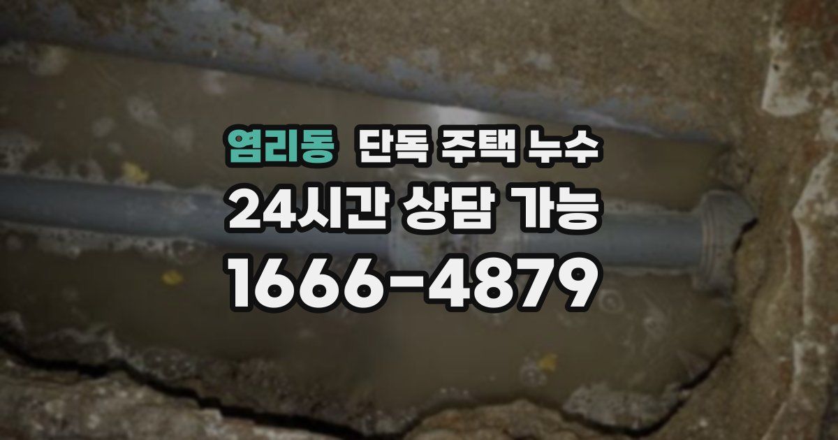 염리동 단독 주택 누수