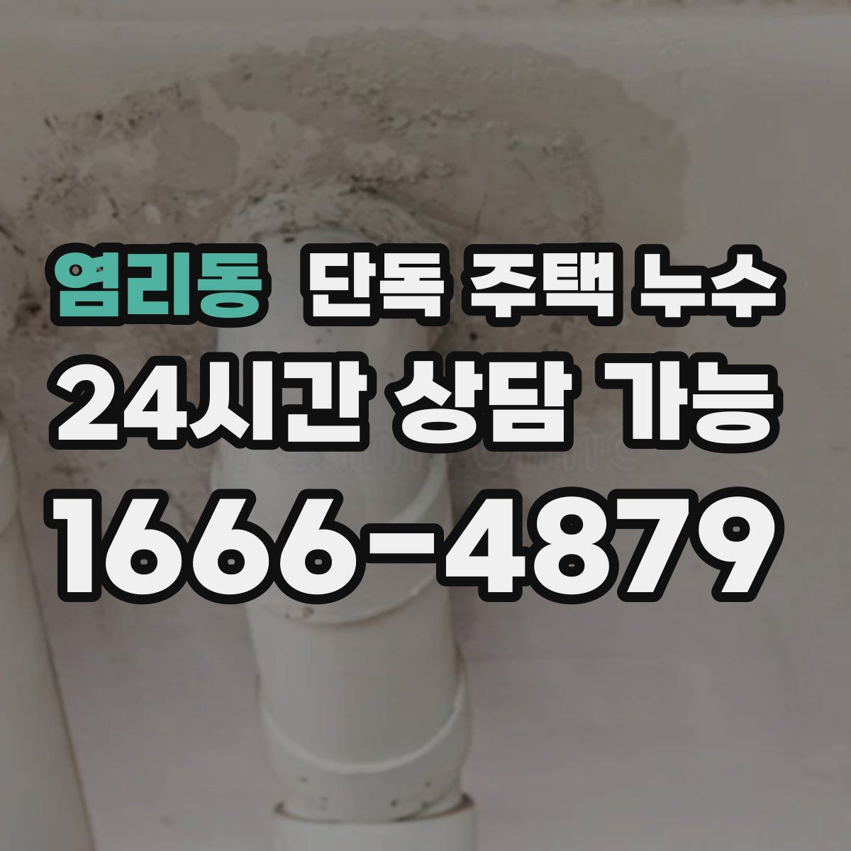 염리동 단독 주택 누수