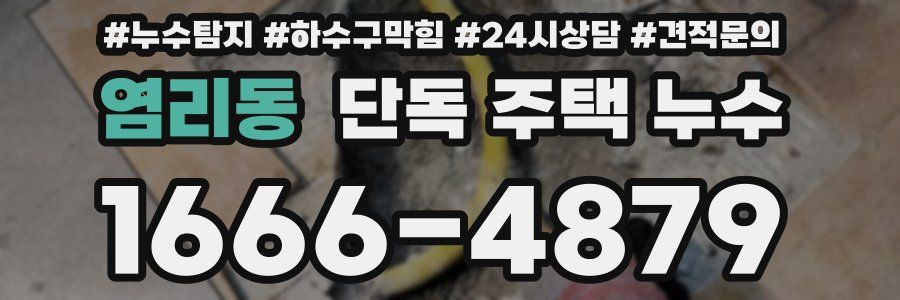 염리동 단독 주택 누수