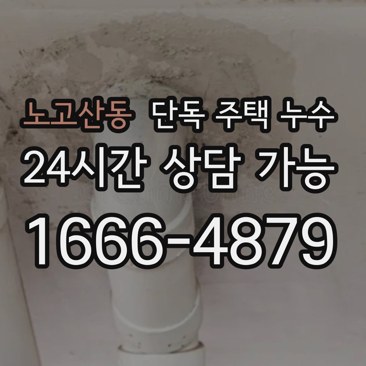 노고산동 단독 주택 누수