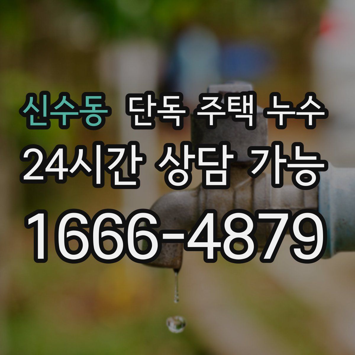 신수동 단독 주택 누수