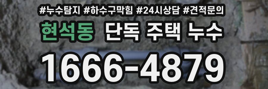 현석동 단독 주택 누수
