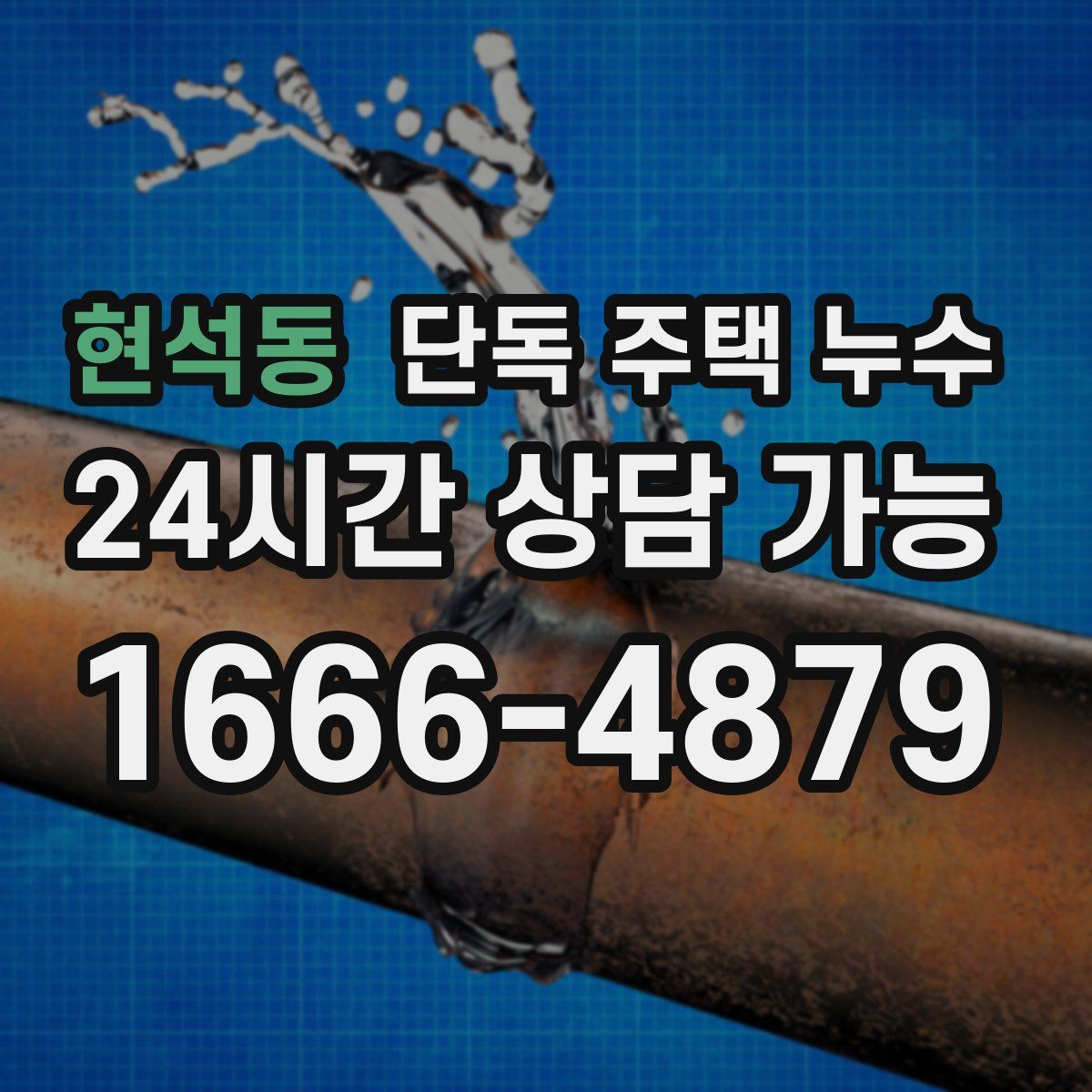 현석동 단독 주택 누수