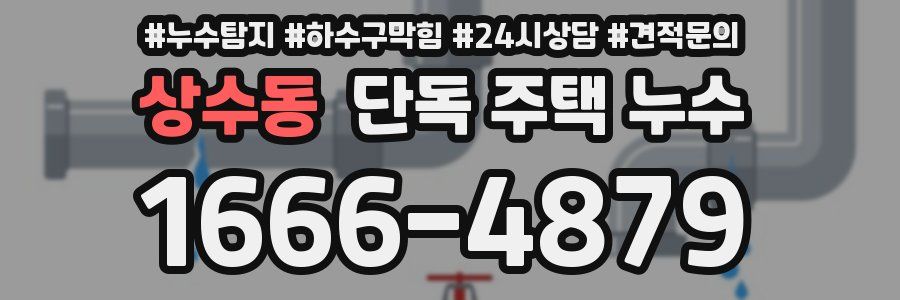 상수동 단독 주택 누수