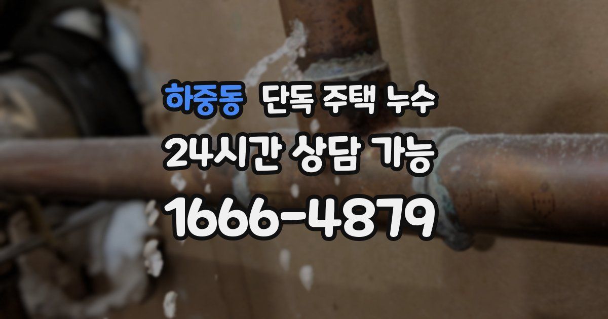 하중동 단독 주택 누수