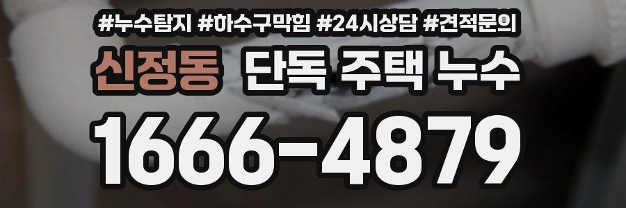 신정동 단독 주택 누수