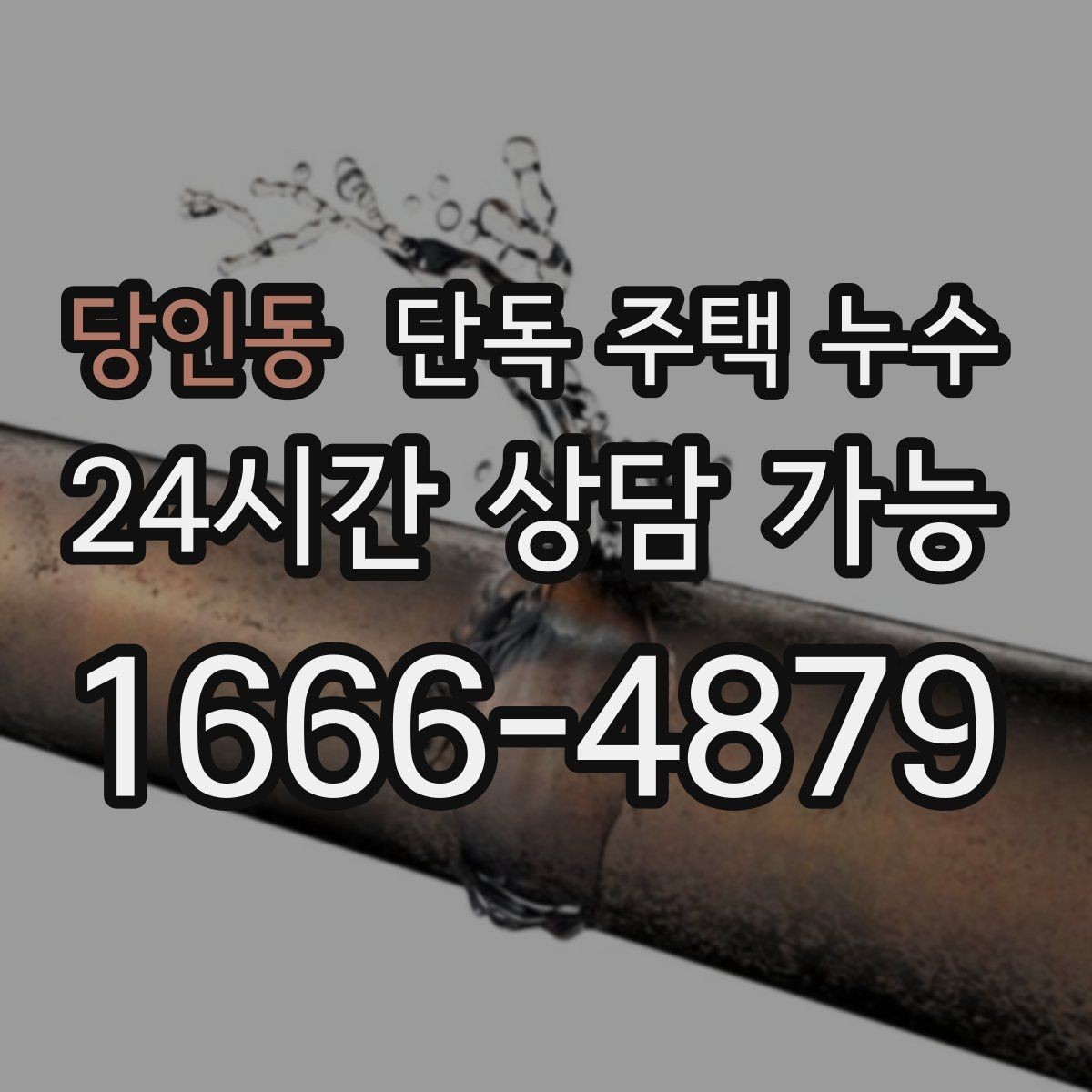 당인동 단독 주택 누수 변기 주변 실리콘이 들뜰 때