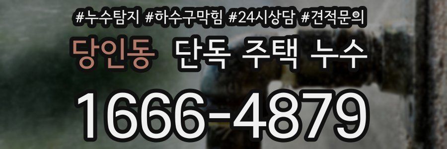 당인동 단독 주택 누수