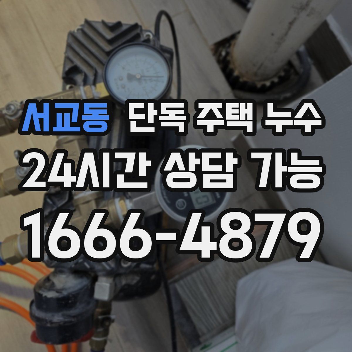 서교동 단독 주택 누수