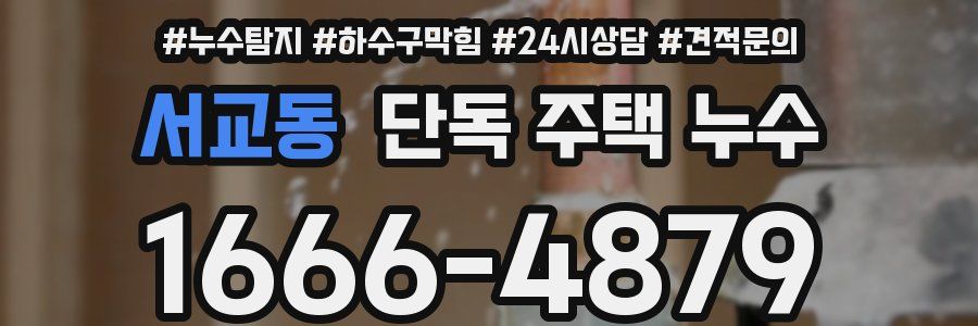 서교동 단독 주택 누수