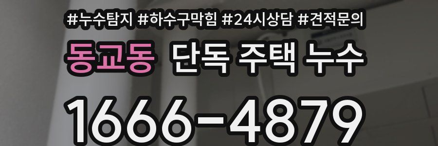 동교동 단독 주택 누수