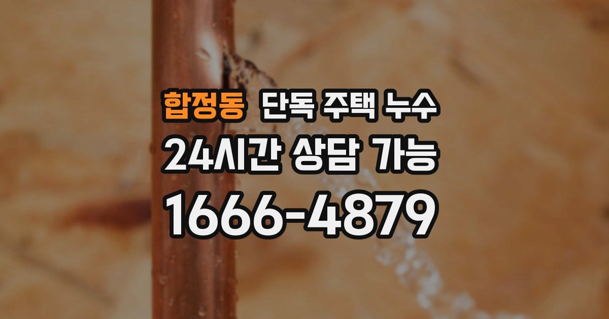 합정동 단독 주택 누수