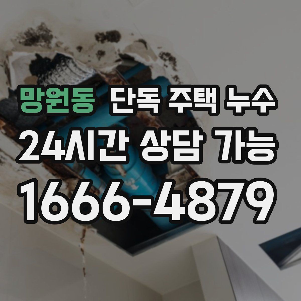 망원동 단독 주택 누수 외벽면 방에서 곰팡이가 심한 이유