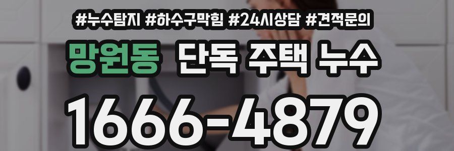 망원동 단독 주택 누수