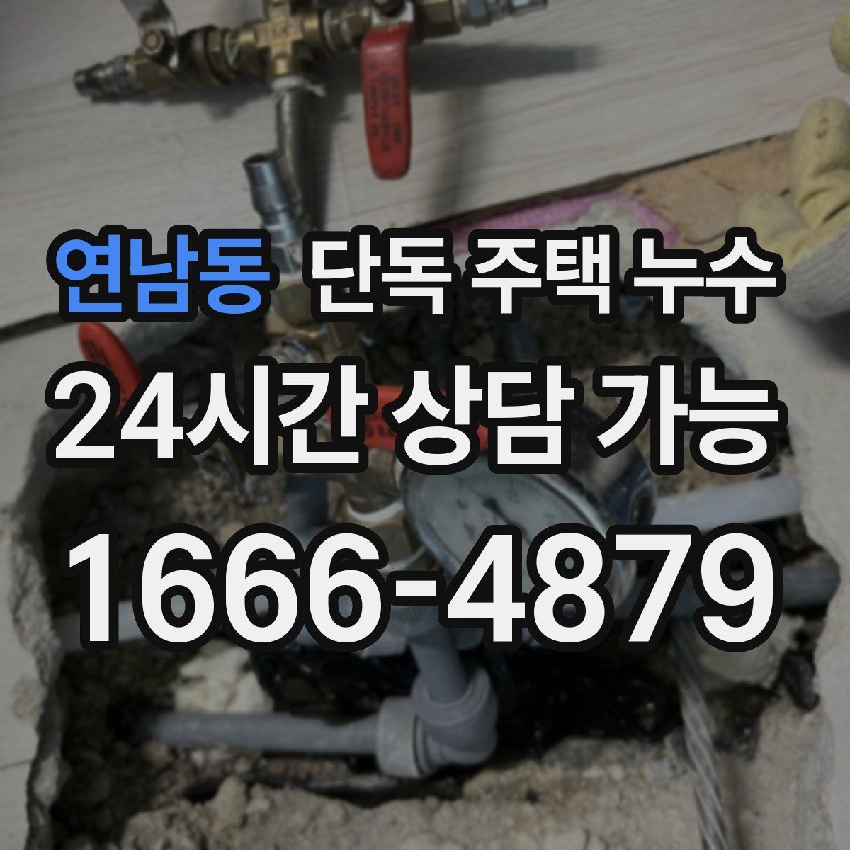 연남동 단독 주택 누수